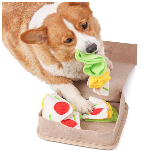 Pizza Box Snuffle Pet Toy 25cm