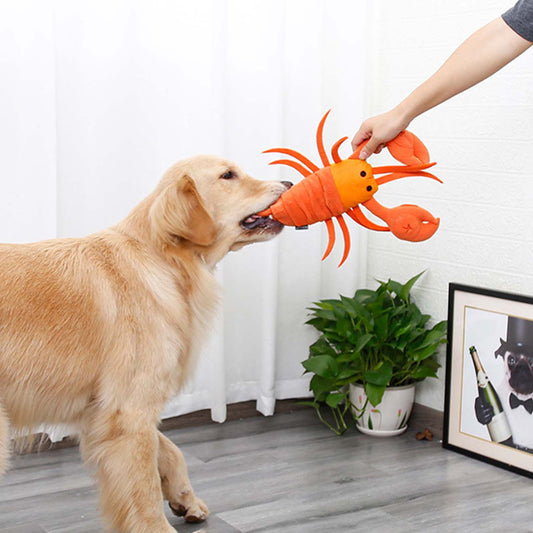 Lobster Pet Snuffle Toy