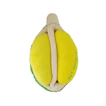 Pet Rember Durian Snuffle Toy