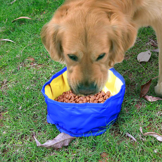 Outdoor Anti-slip Foldable Waterproof Pet Bowl (Grey)