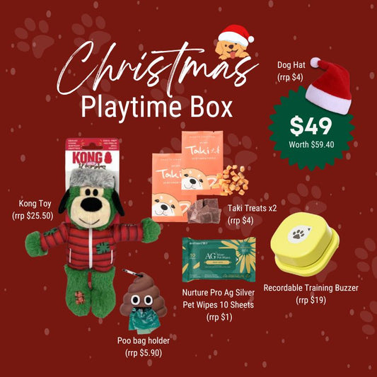 Christmas Playtime Box (Dog)