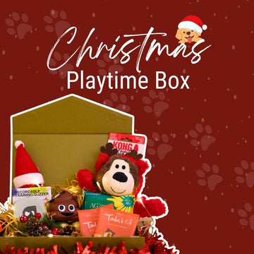 Christmas Playtime Box (Dog)