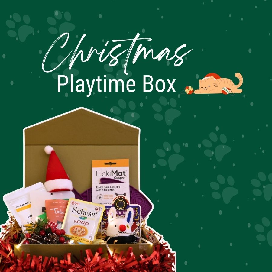 Christmas Playtime Box (Cat)