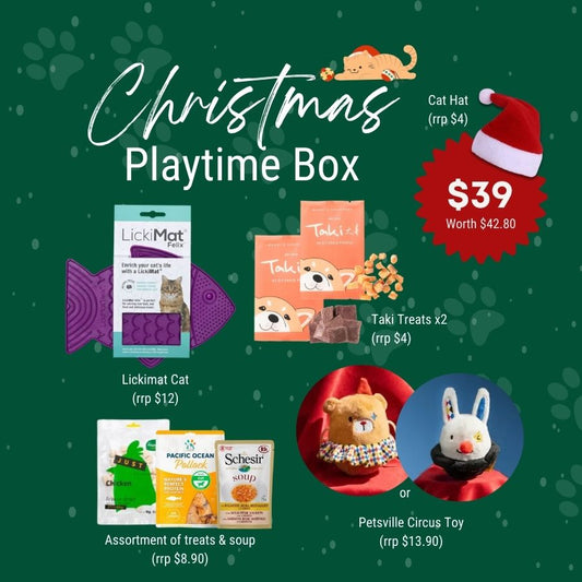 Christmas Playtime Box (Cat)