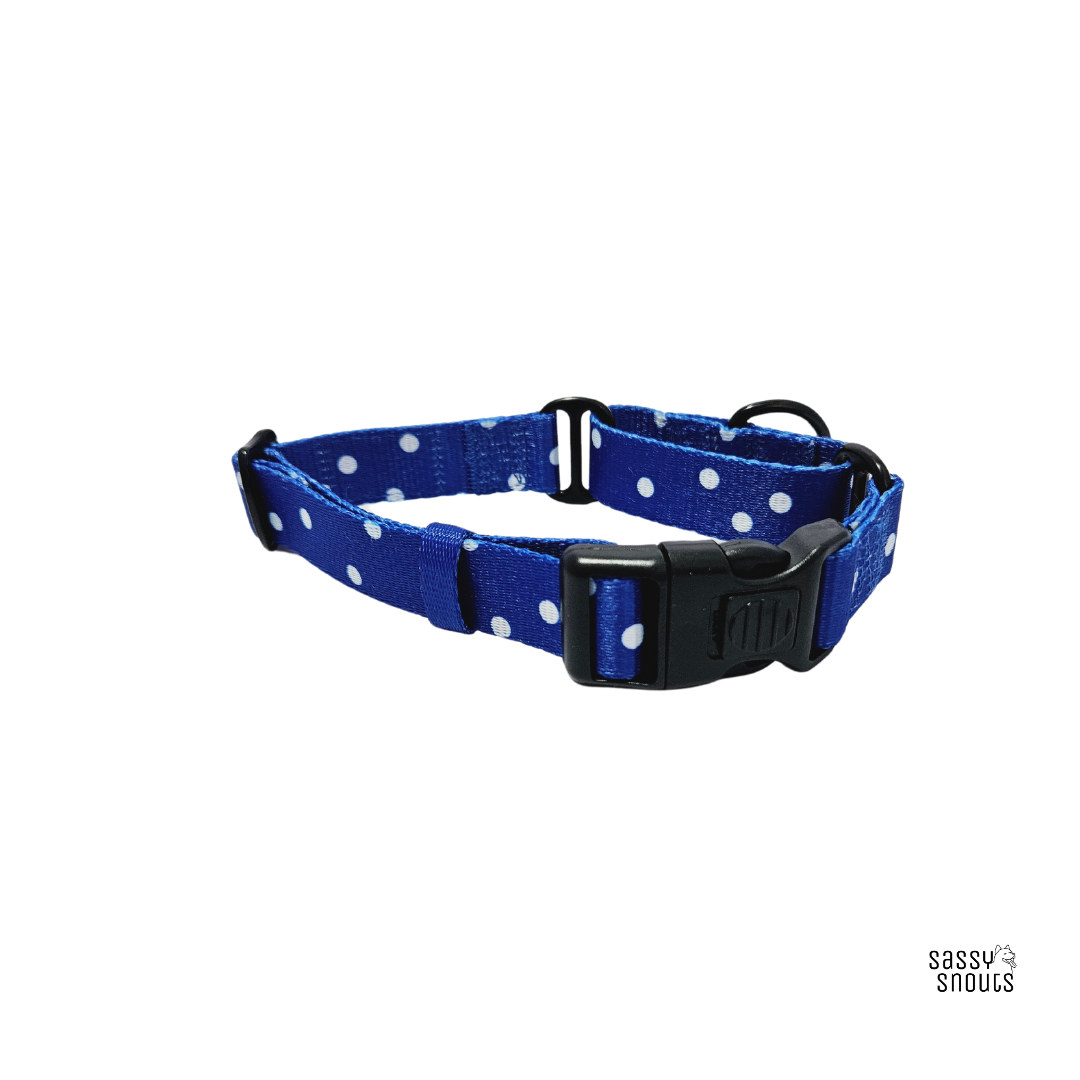 Sassy Snouts Classic Martingale Collar in Whimsical Royal (Gen 2.0)