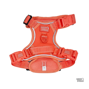 Sassy Snouts Signature Harness in Vermilion (Gen 1.0)