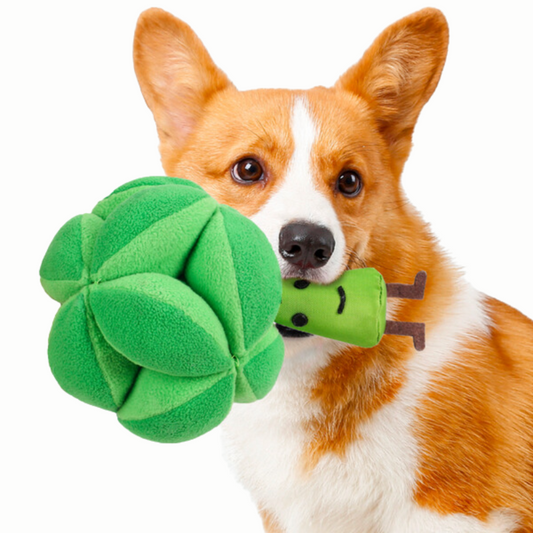 Broccoli Snuffle Interactive Plush Toy